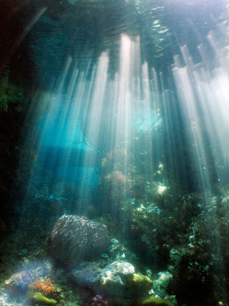 BEAUTIFUL RAJA AMPAT