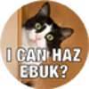selamat ultah ke-13 buat kaskus O:-)