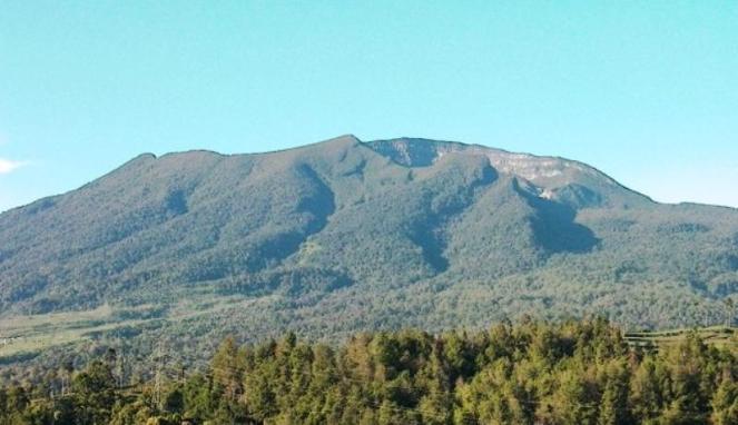 Taman Nasional Gunung Gede Pangrango (Puncak Gunung Gede)