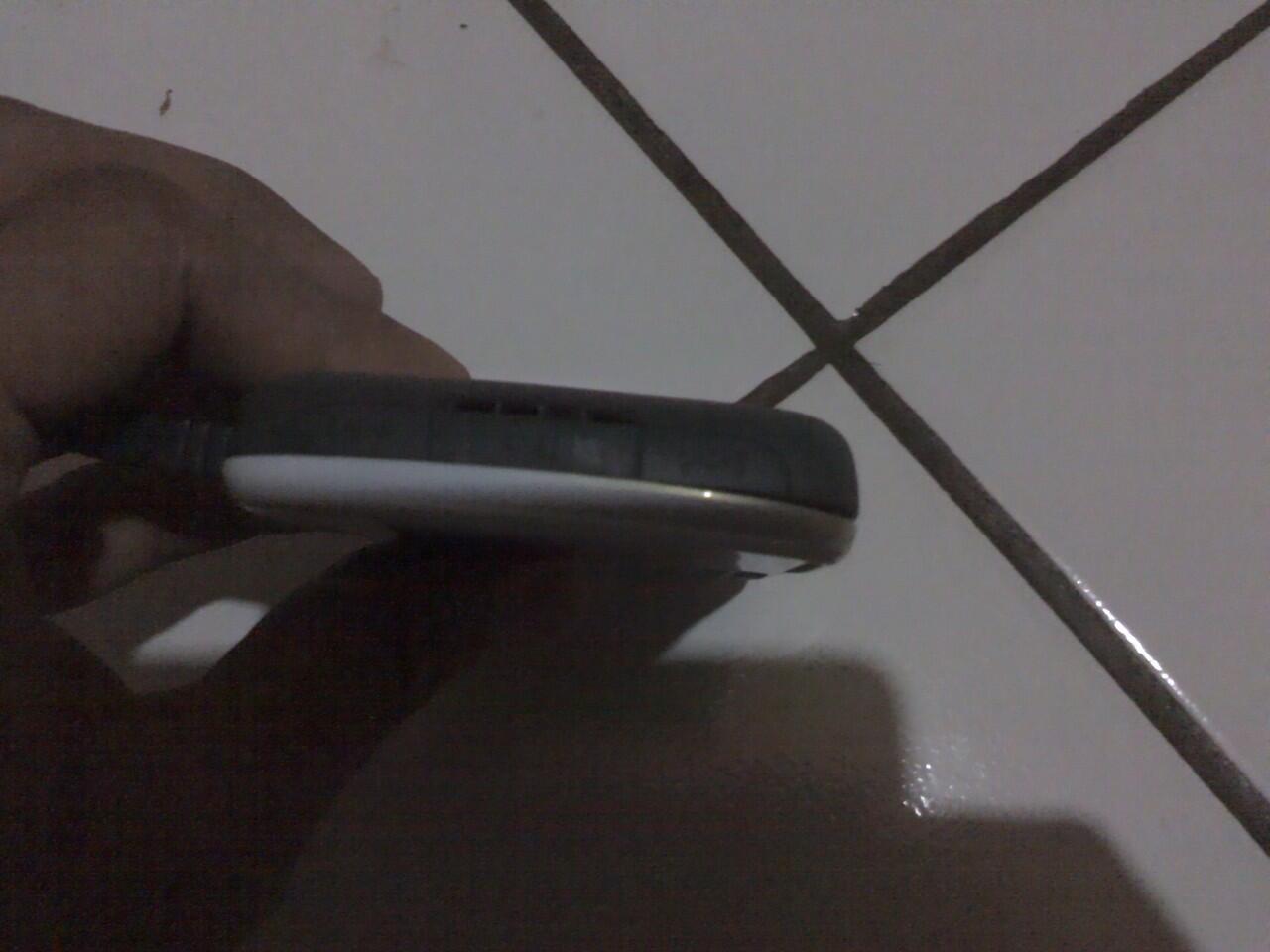 Black Berry Gemini Batangan