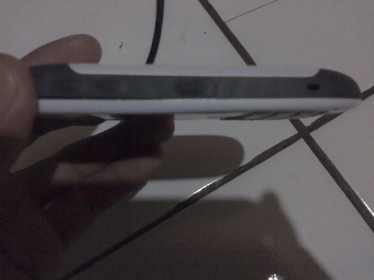 Black Berry Gemini Batangan