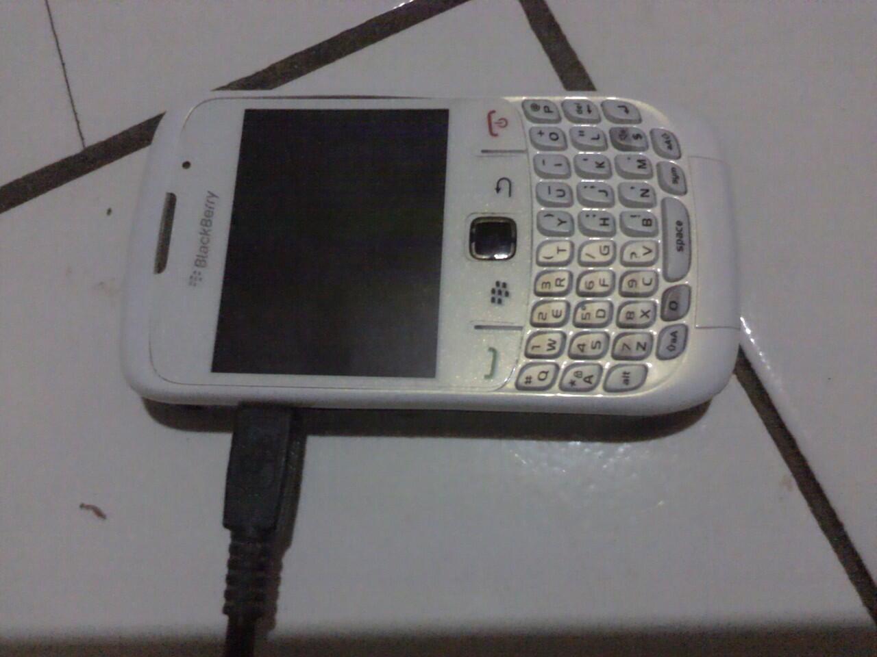 Black Berry Gemini Batangan