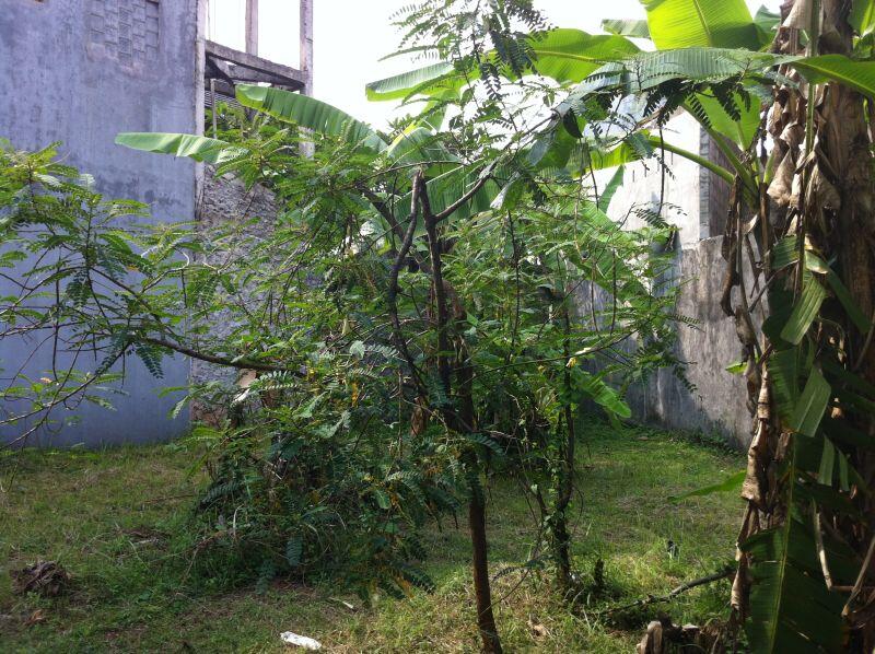 Dijual tanah nusaloka BSD