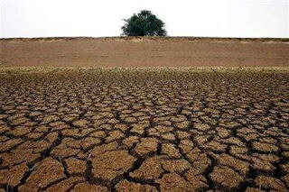 Keadaan Bumi 3 Tahun Sebelum Munculnya Dajjal