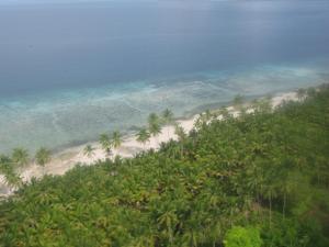 Memerangi Musuh Kerajaan Bawah Laut WAKATOBI