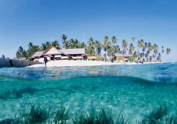 Memerangi Musuh Kerajaan Bawah Laut WAKATOBI