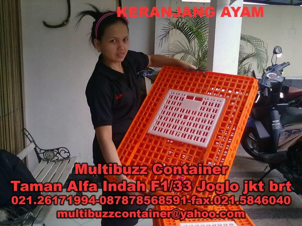 keranjang plastik container,keranjang tahu,keranjang ikan,Pallet,drum,tong,cool box