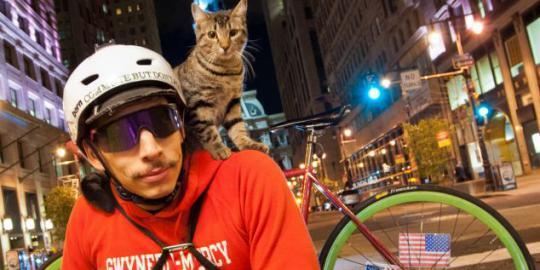 Wow, kucing ini ikut mengantar surat keliling Philadelphia!