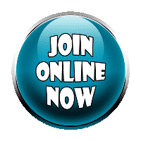 Investama Bisnis Online (MLM Online)