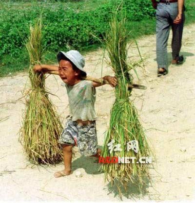 Daus mini ganti profesi jadi petani gan..,,