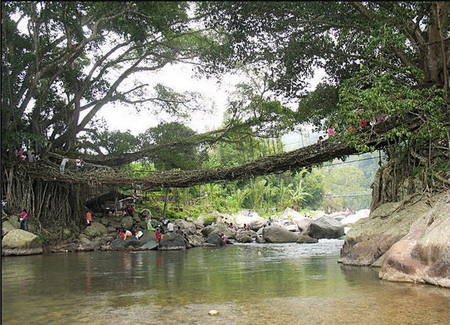 Jembatan Dari Akar di Indonesia