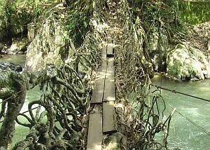 Jembatan Dari Akar di Indonesia