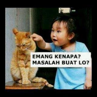 Foto foto ngakak (gak ngakak ane telen kulkas) ngakak inside