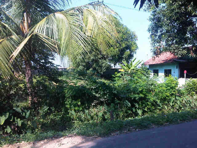 JUAL TANAH KARAWANG