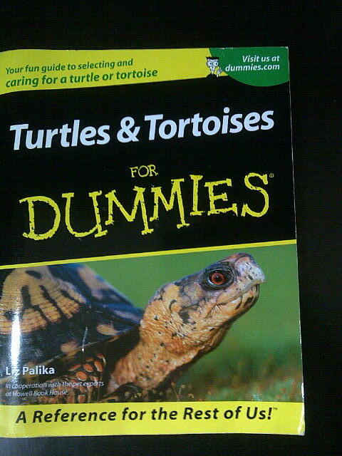 Buku Turtles & Tortoises For Dummies (Utk yg piara kura / tortoise / turtle)