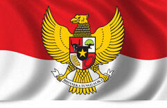 PAHLAWAN DARI INDONESIA