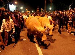 Mengenal Tradisi Malam Satu Suro Ditanah Jawa-Ragam Budaya Indonesia