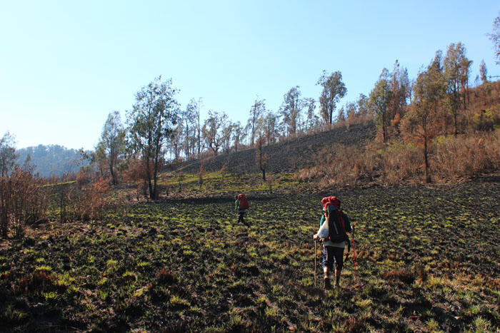 Menuju Puncak Rangkaian Pegunungan Iyang, Argopuro 