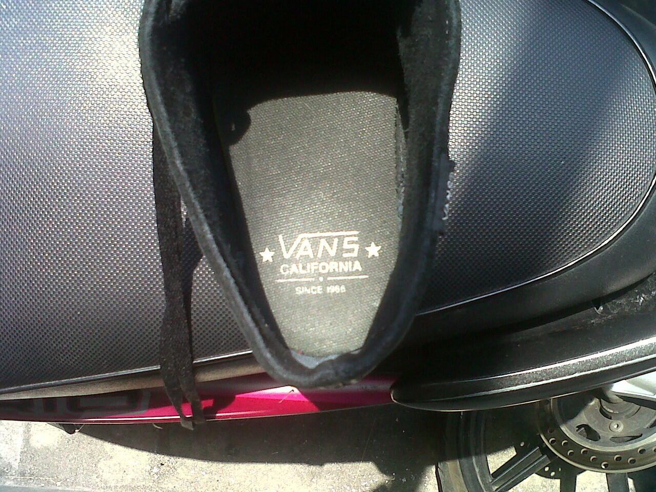 schuh black vans