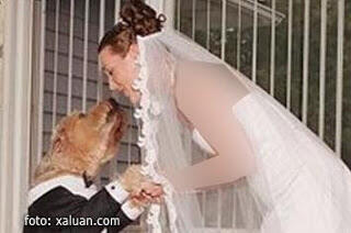 &#91;Pria Wanita Menikah Biasa&#93;Perempuan Ini Menikahi Dog nya Sendiri!!!