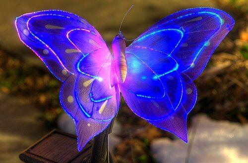 JUAL LAMPU KUPU BUTERFLY LAMP BERUBAH WARNA GROSIR ECER RESELLER MURAH CINA DROPSHIP