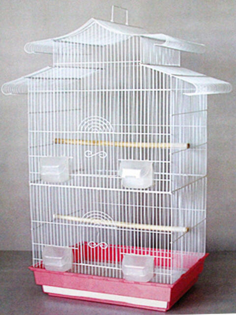 Jual Kandang Burung