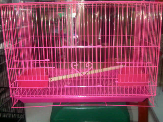 Sugar Glider |MURMER| Surabaya