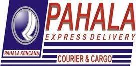 Cupang Hias FEMALE CT/SERIT partai