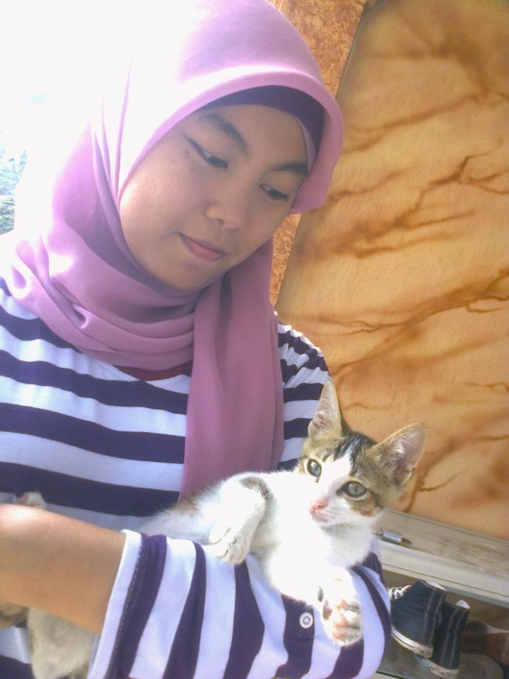 &#91;Cat lover&#93; Ini gan Kucing cewe ane.. LUCU abisss..!!