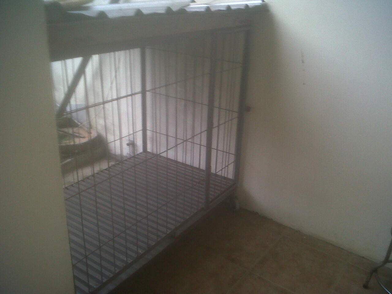 Kandang Anjing
