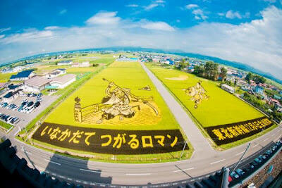 Pemandangan Sawah di Jepang 