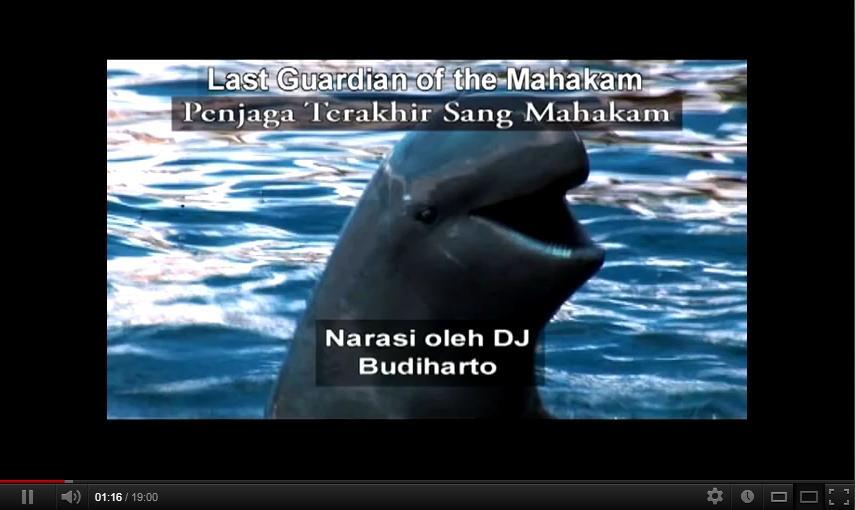 Penjaga Terakhir Sang Mahakam (Last Guardian of the Mahakam)