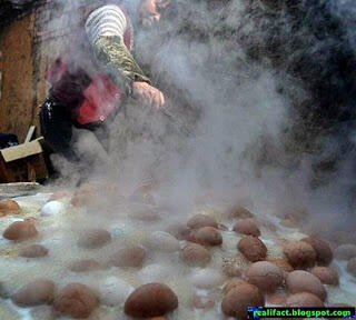 membuat telur asin dengan air kencing