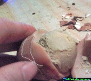 membuat telur asin dengan air kencing