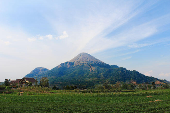  Pesona  Anak Semeru  Gunung  Penanggungan KASKUS