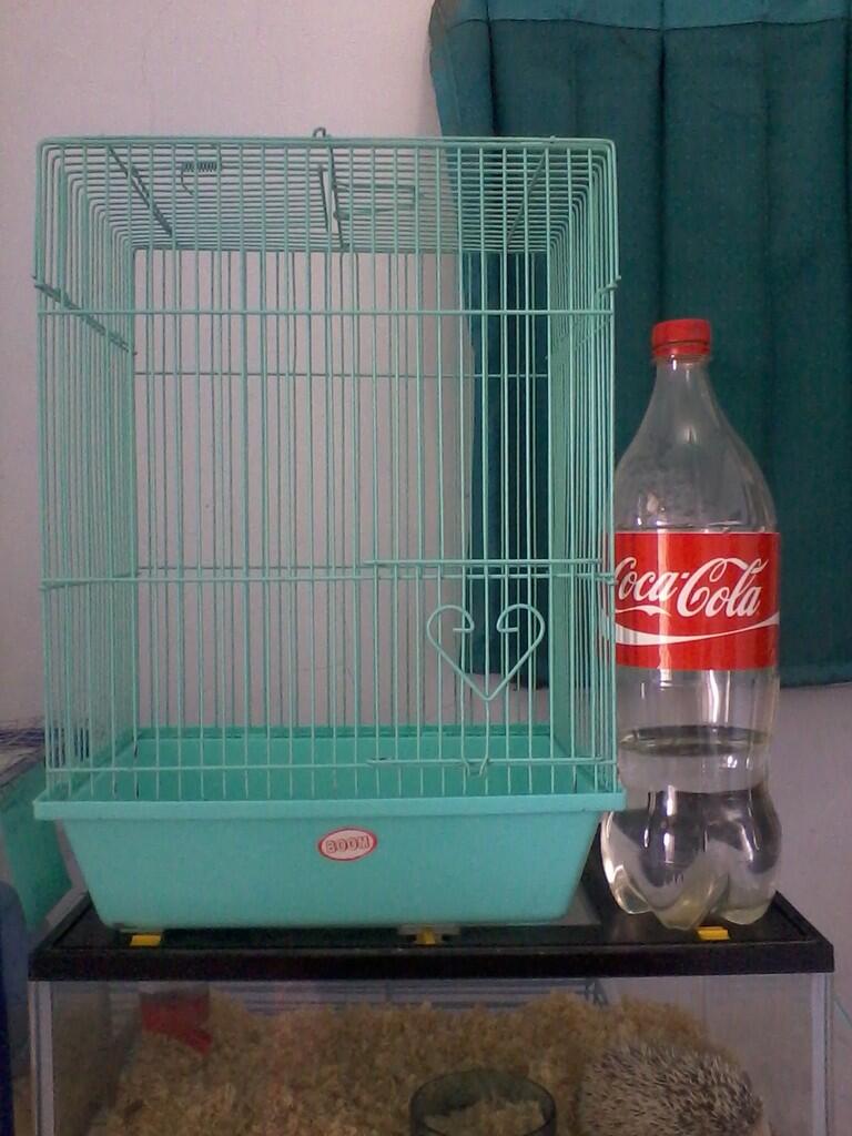hamster Roborvski WF dan Kandang Second/Bekas