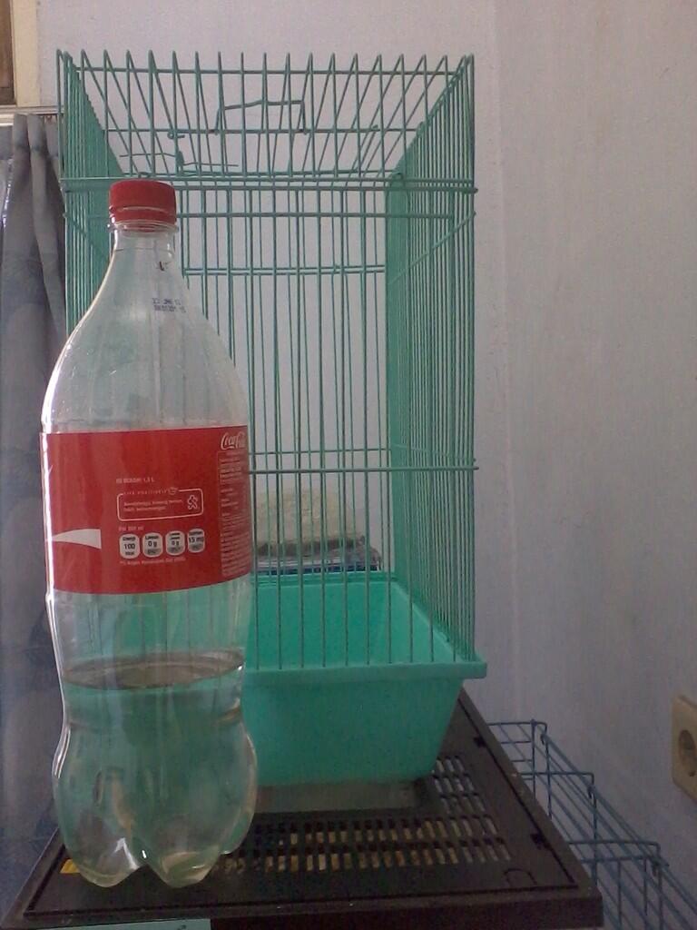 hamster Roborvski WF dan Kandang Second/Bekas
