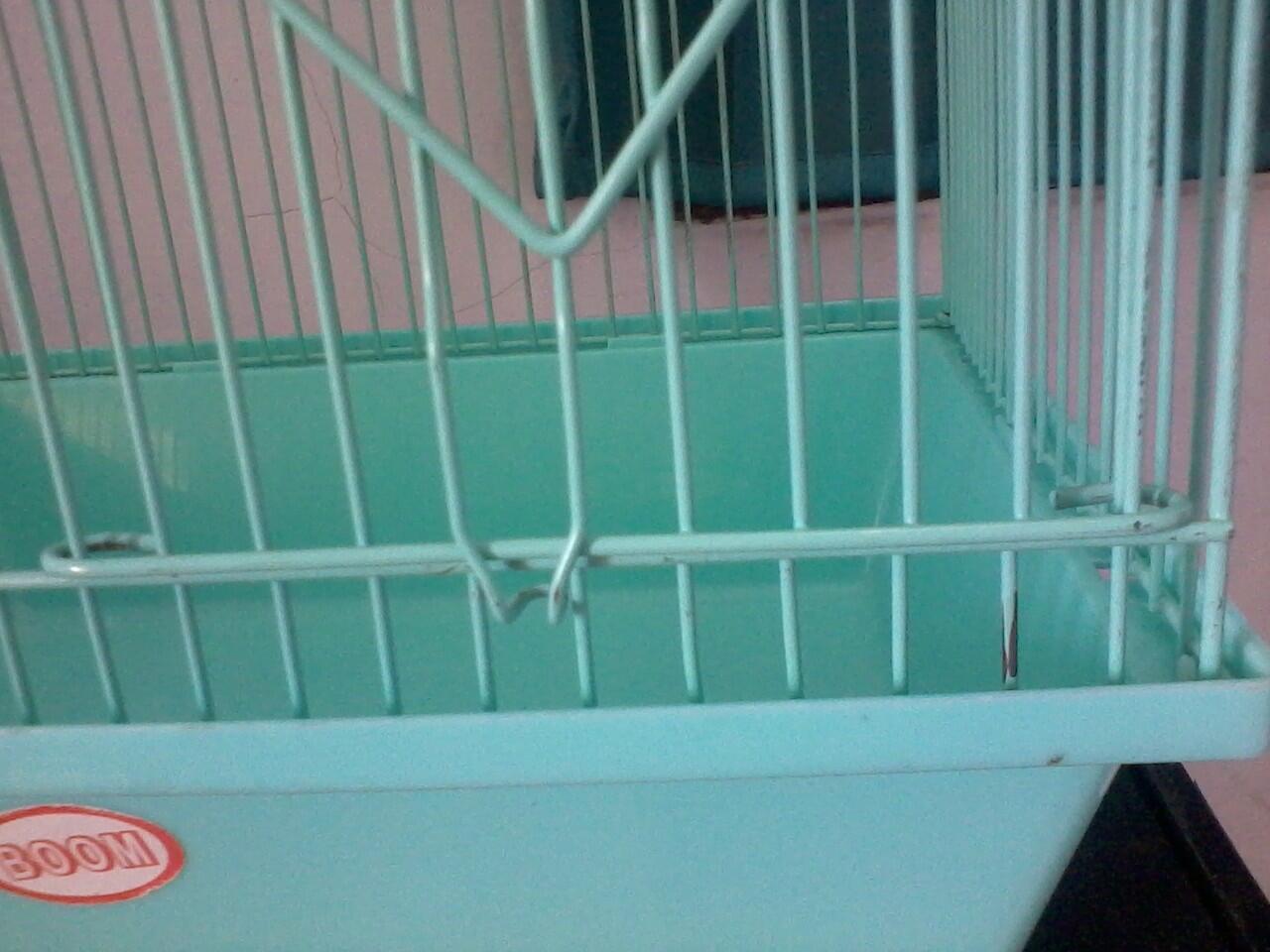 hamster Roborvski WF dan Kandang Second/Bekas