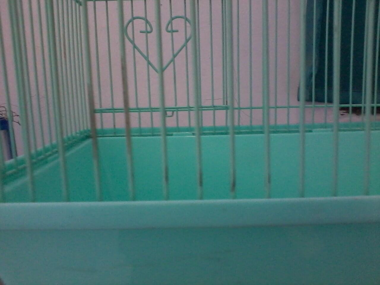hamster Roborvski WF dan Kandang Second/Bekas