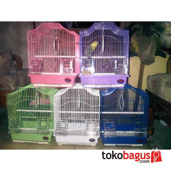 burung parkit sepasang