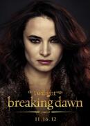 Breaking dawn part 2 &#91;review&#93;