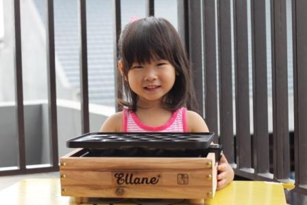 Alat & Bahan Takoyaki serta peluang bisnisnya