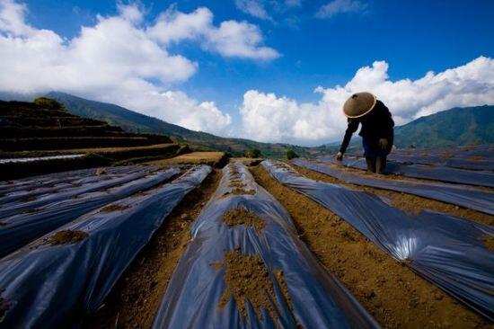 Keindahan Indonesia Dari Mata NATIONAL GEOGRAPHIC 