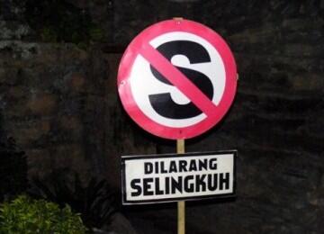 Ilmuwan Jerman Temukan Hormon Anti-Selingkuh