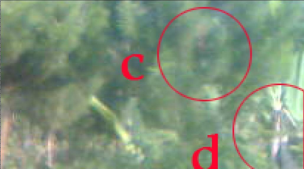 Penampakan Misterius Di Puncak Gunung Sawal Ciamis