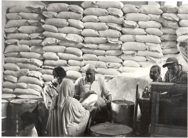 PALESTINA TEMPO DULU