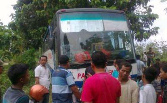 Bus Pahala Kencana Bisa Nembus Hutan Jati, Fenomena Mesin Waktu