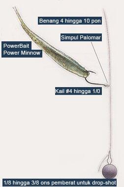 All About Soft Plastic Bait 