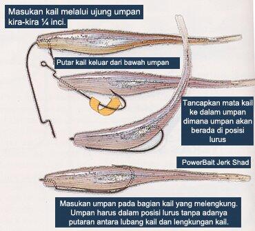 kaskus-image