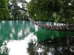 Danau Linting &#91;Sumatera Utara&#93; - Indahnya Si Biru (MASUK)